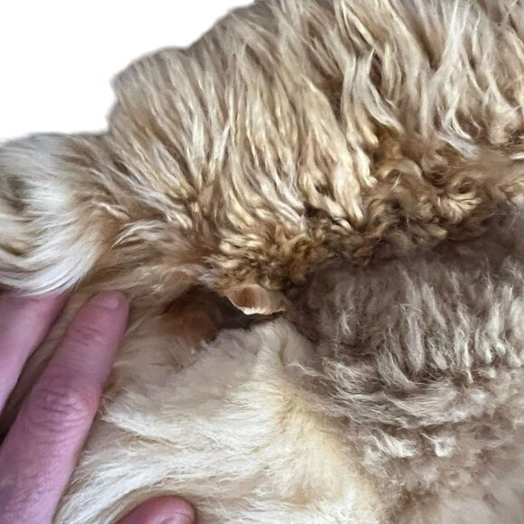 Vintage Authentic Peruvian Alpaca Rug 60” In Diameter Handmade With Hide & Fur - Picture 9 of 16